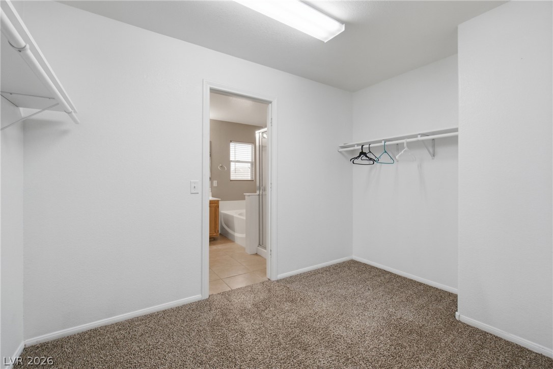7809 Bear Tooth Cave Court Property Photo 76