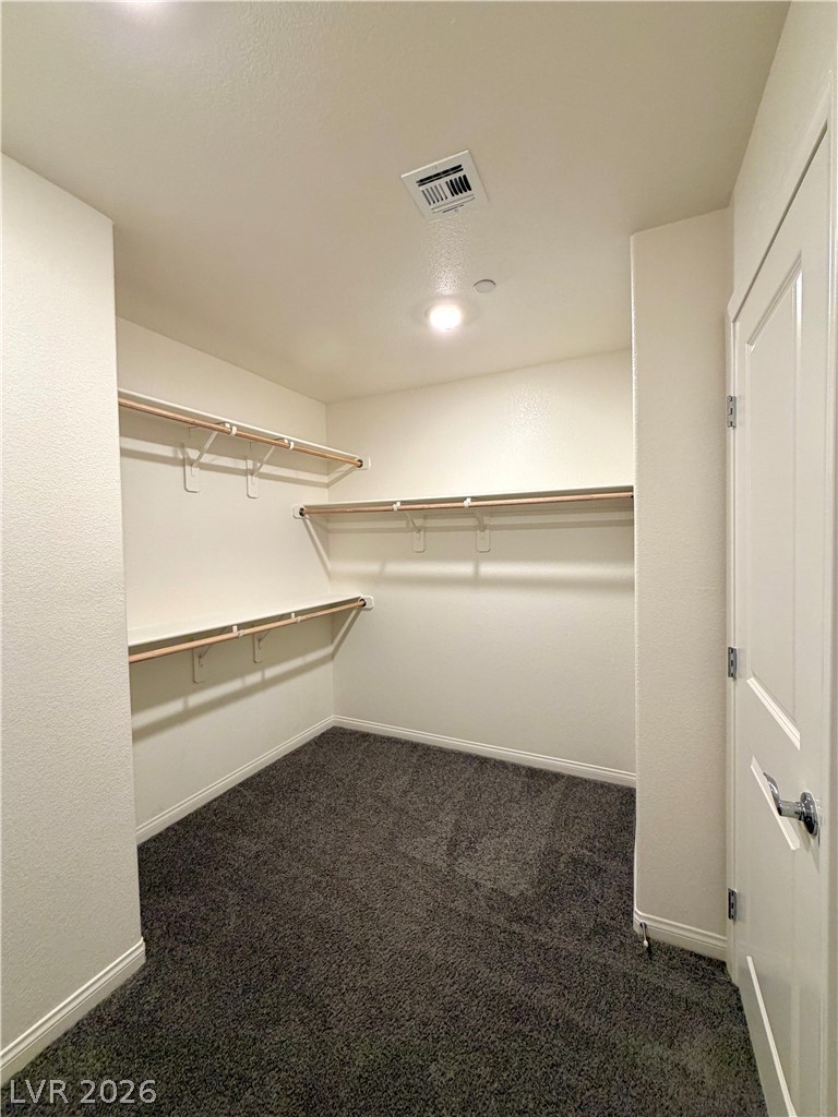 10051 Indigo Cliffs Street Property Photo 35
