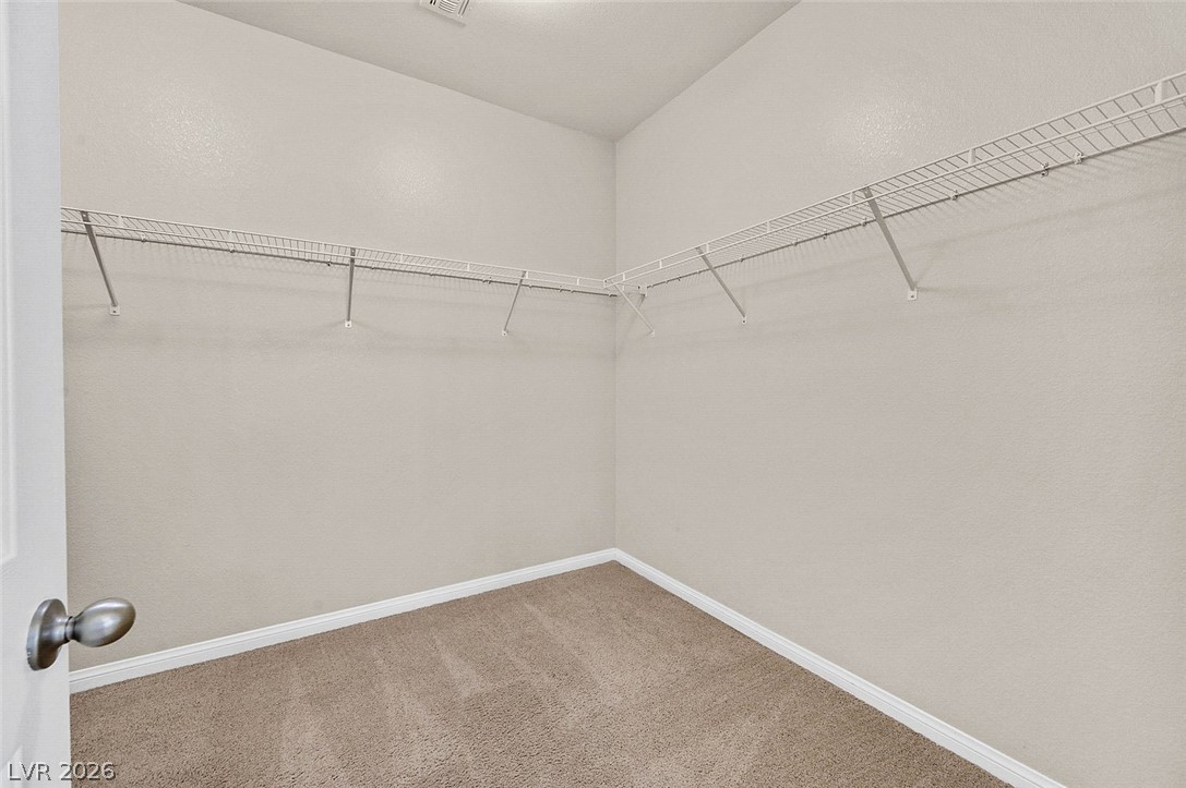 8208 Redbud Vine Street Property Photo 20