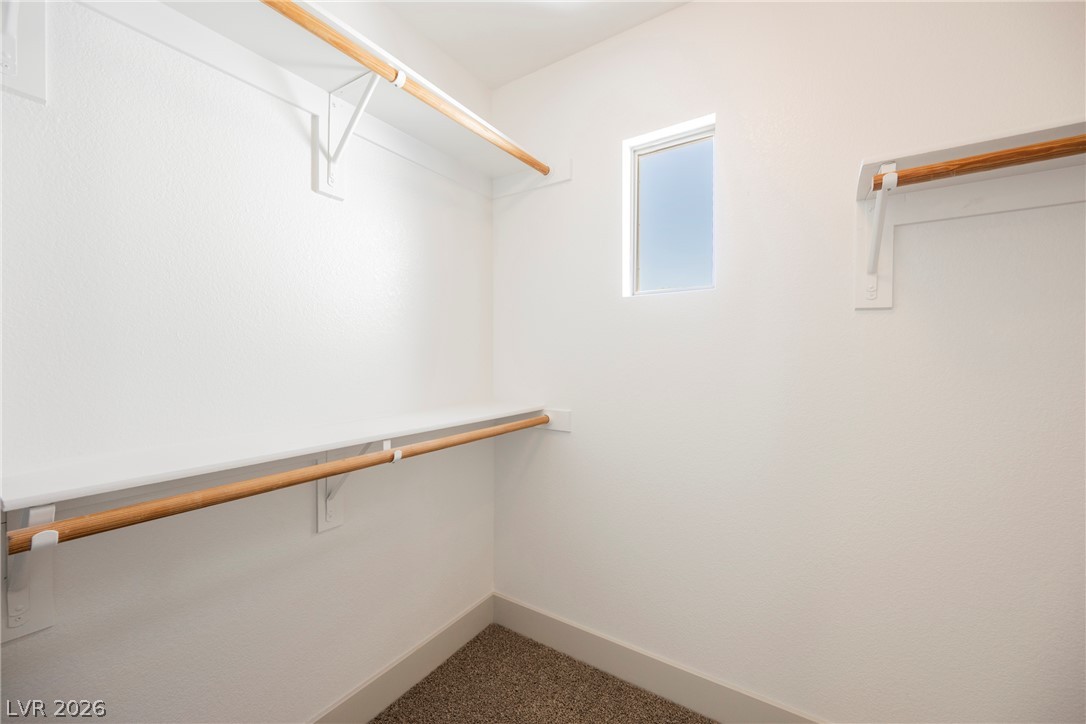 2796 Canonero Street Property Photo 14