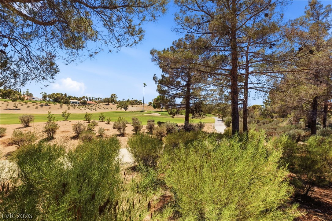 8649 Robinson Ridge Drive Property Photo 36