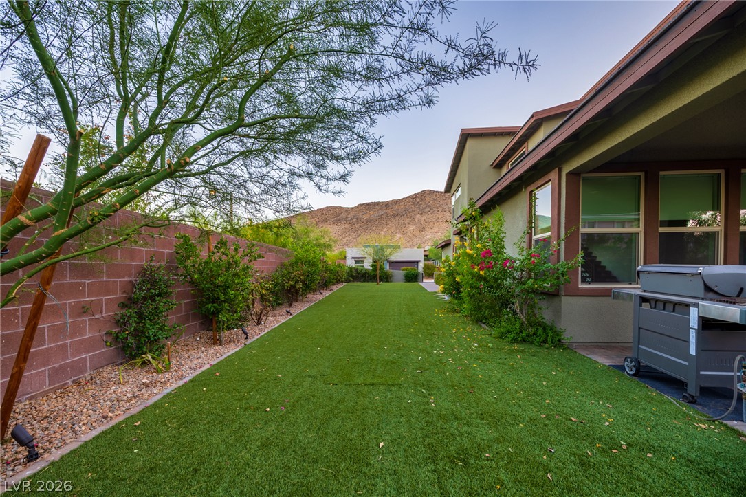9696 Starlight Ridge Avenue Property Photo 4