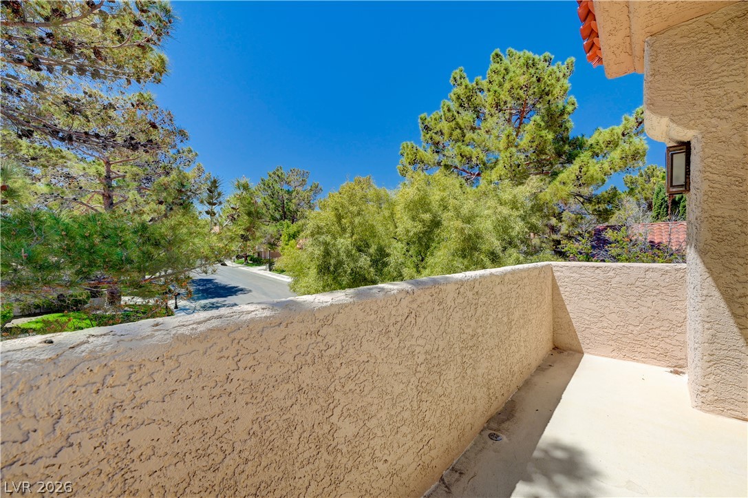 8080 Castle Pines Avenue Property Photo 55