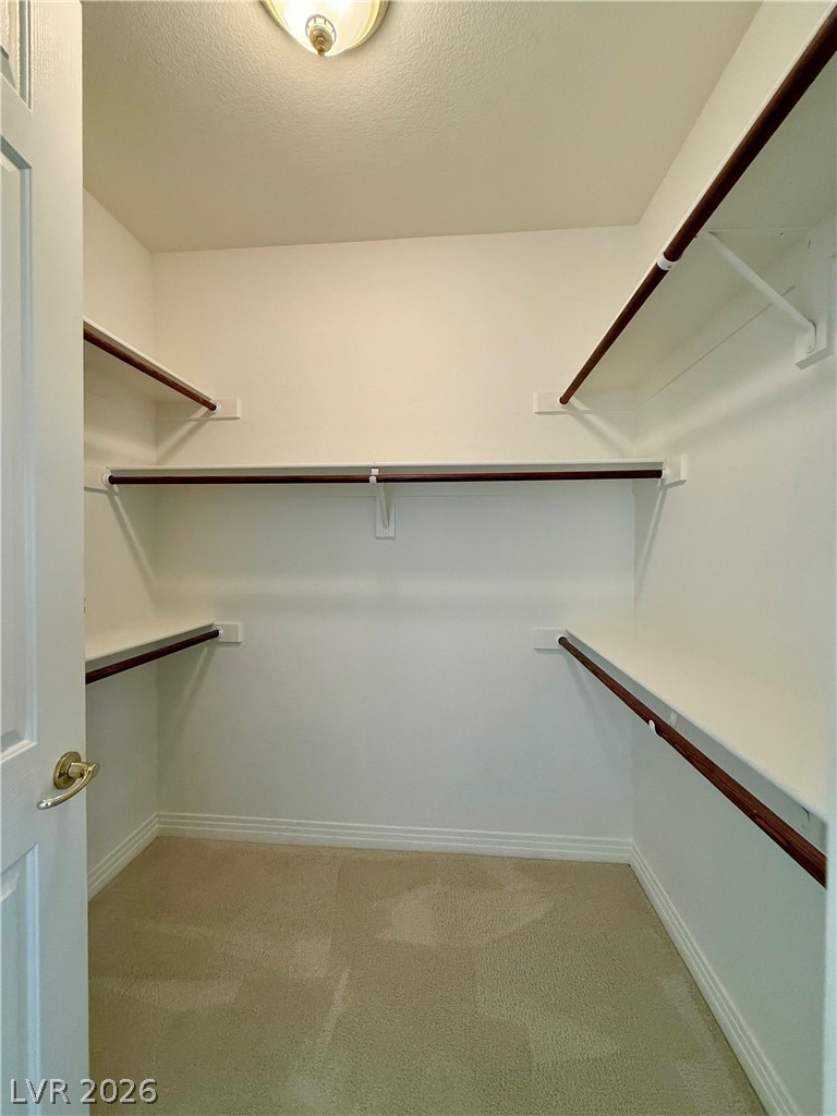 8729 Carlitas Joy Court Property Photo 76