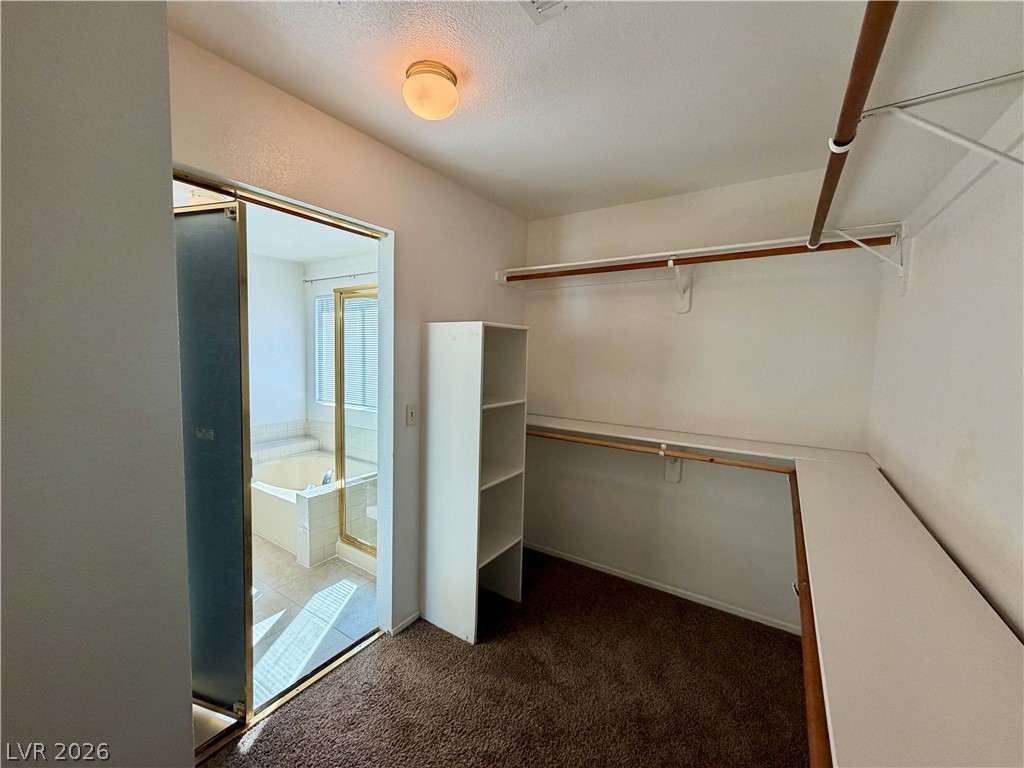 5 Tarryall Terrace Property Photo 19