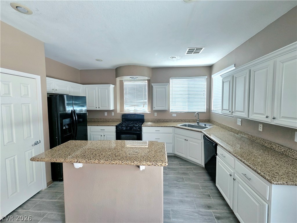 521 Newberry Springs Drive Property Photo 5