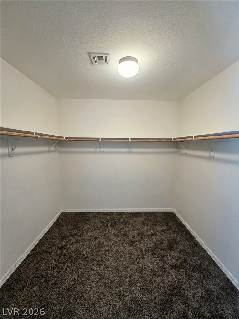 521 Newberry Springs Drive Property Photo 22