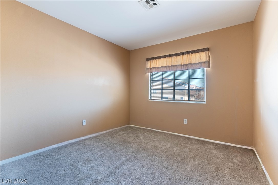 3917 Canary Cedar Street Property Photo 14