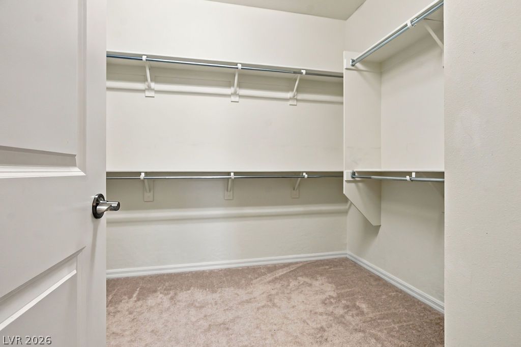 9945 Bristlecone Skye Avenue Property Photo 31