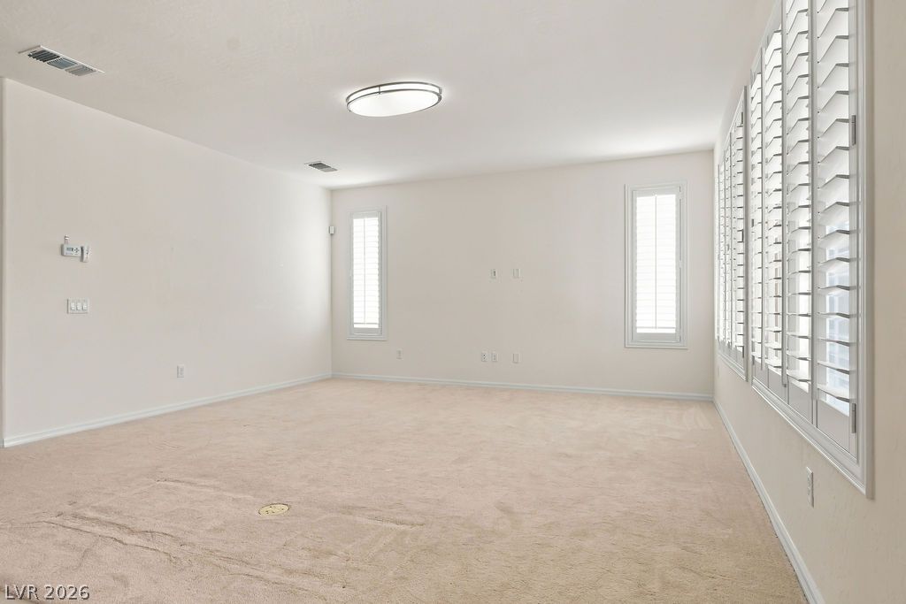9945 Bristlecone Skye Avenue Property Photo 35