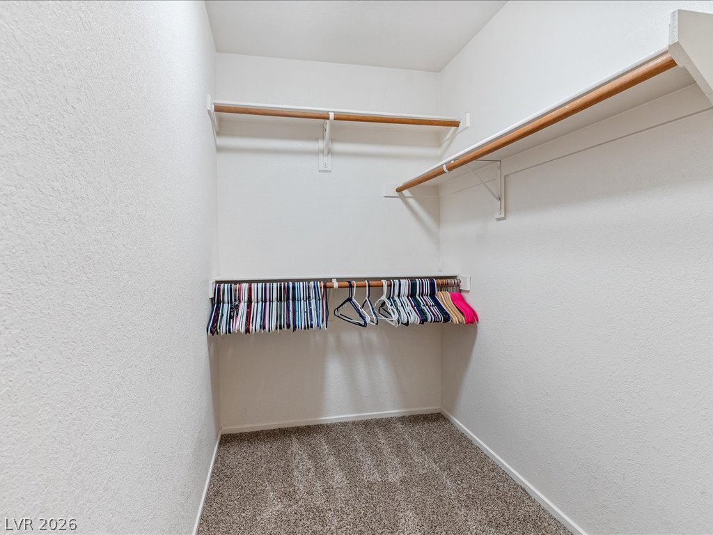 10356 Perfect Parsley Street Property Photo 18