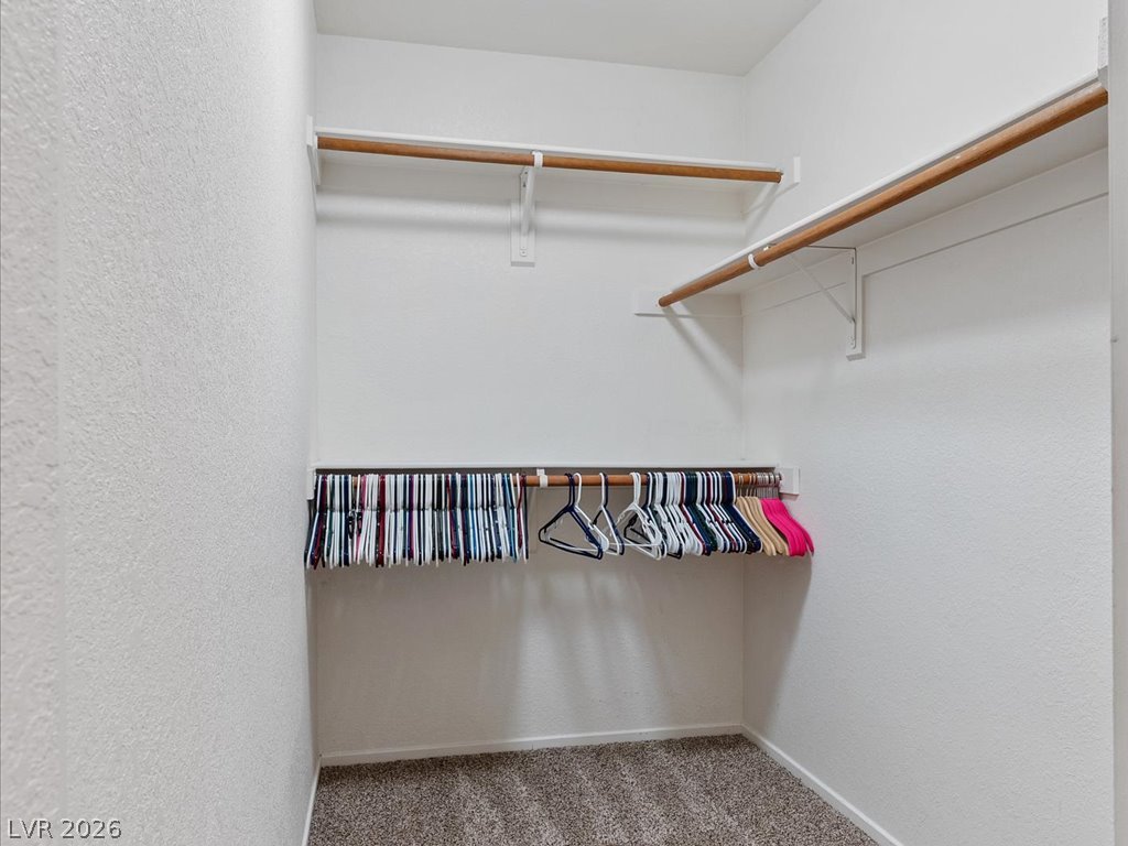 10356 Perfect Parsley Street Property Photo 20