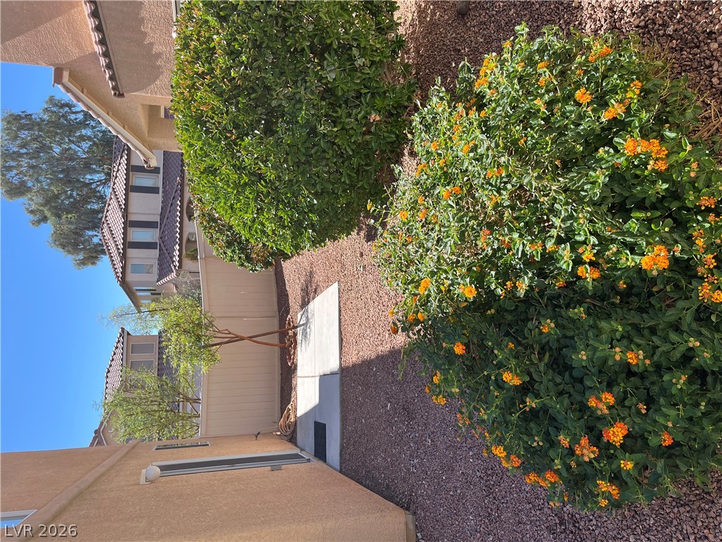 8279 Amphora Street 0 Property Photo 25