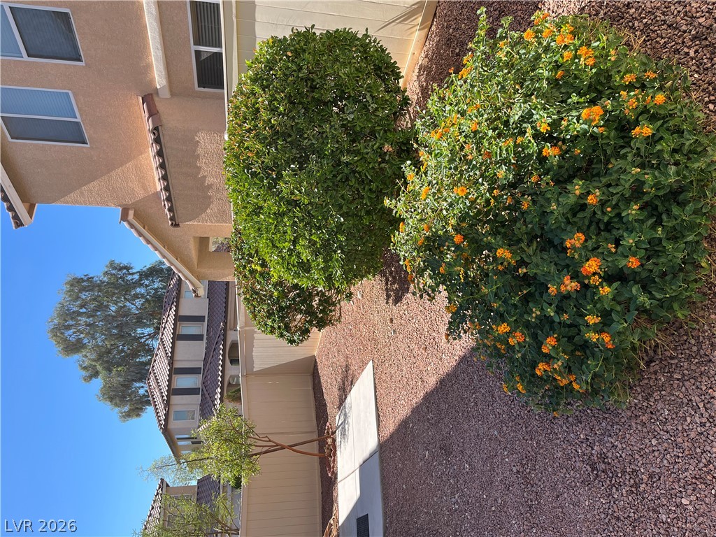 8279 Amphora Street 0 Property Photo 26