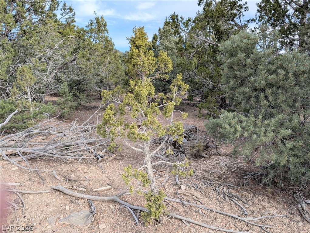 Lot 1-a Side Hill Pass Property Photo 13