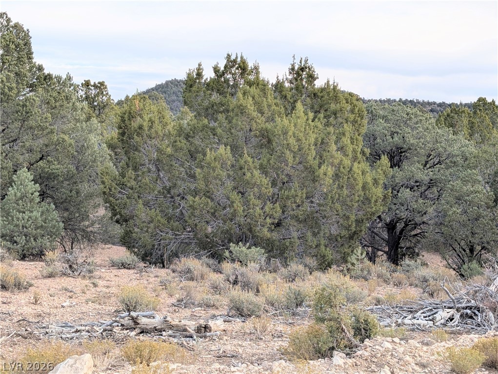 Lot 1-b Side Hill Pass Property Photo 1
