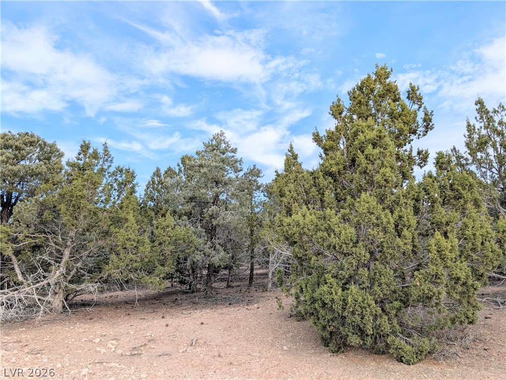 Lot 1-b Side Hill Pass Property Photo 3