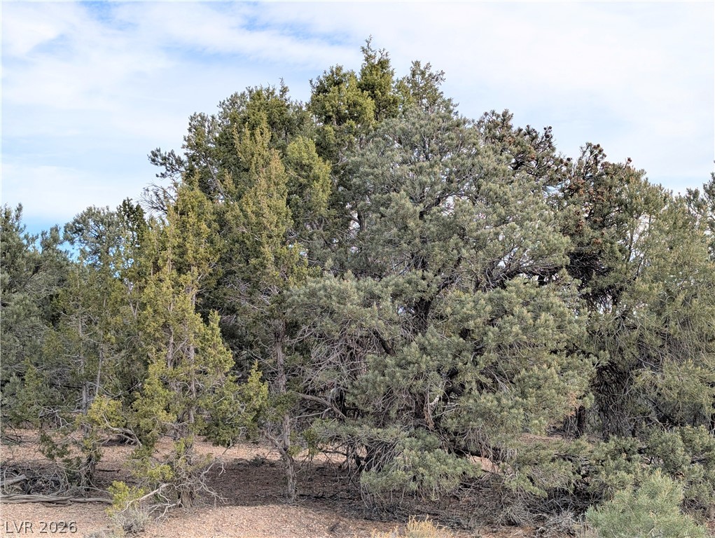 Lot 1-b Side Hill Pass Property Photo 5