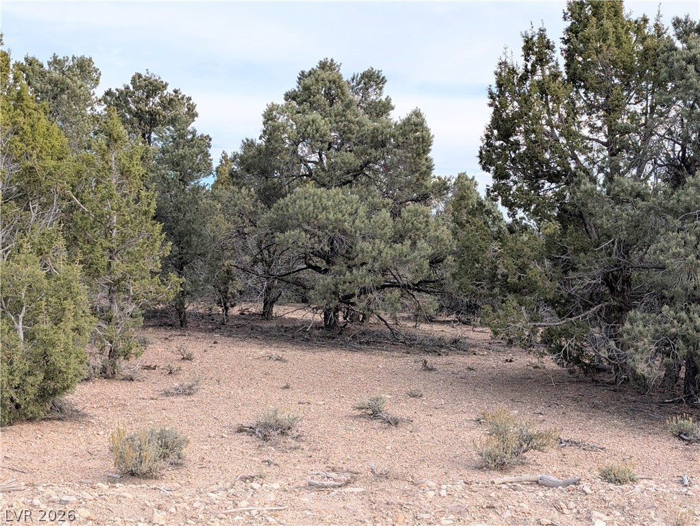 Lot 1-b Side Hill Pass Property Photo 7