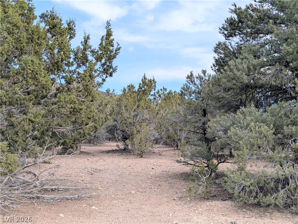 Lot 1-b Side Hill Pass Property Photo 11