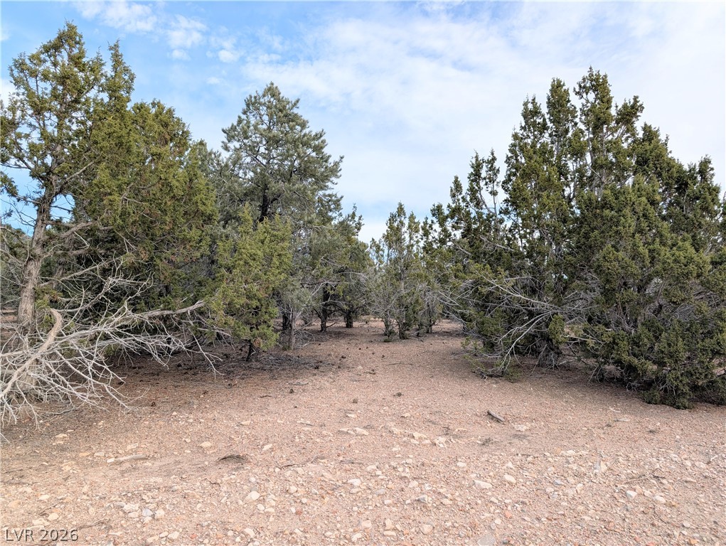 Lot 1-b Side Hill Pass Property Photo 13