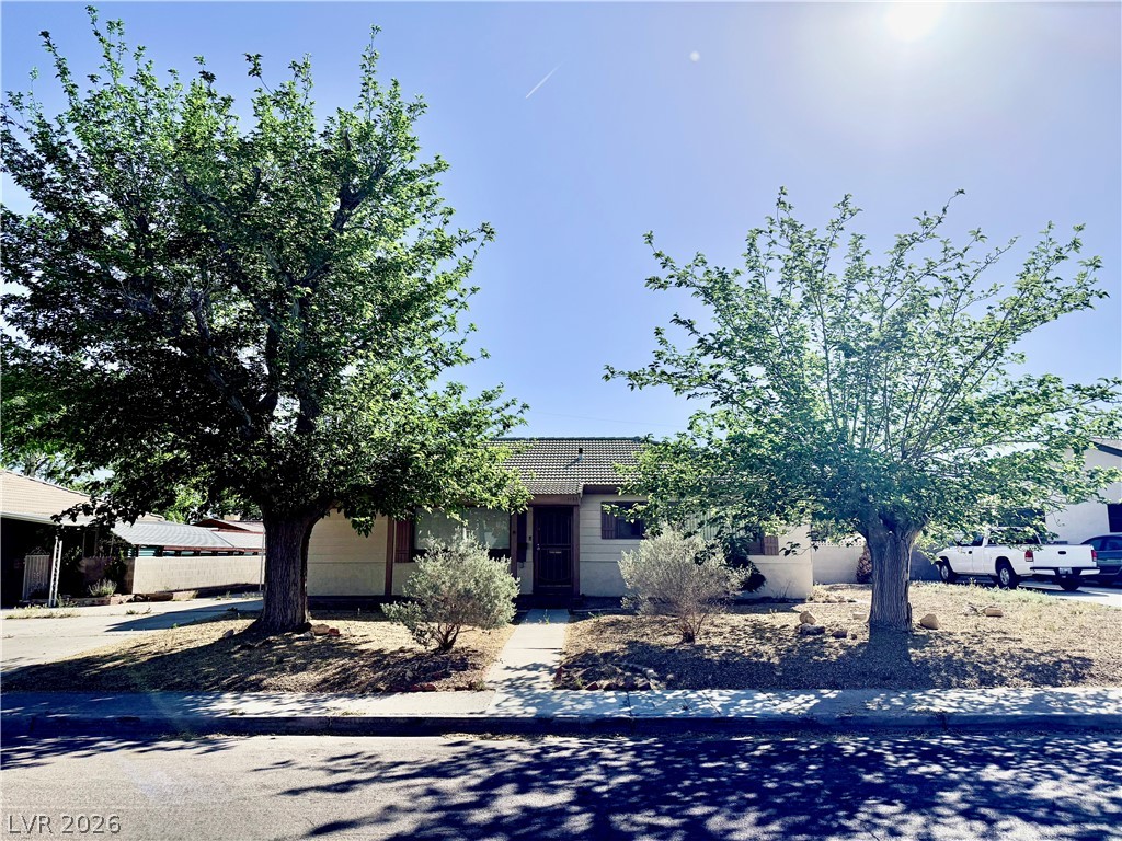 1133 Darmak Drive Property Photo 4