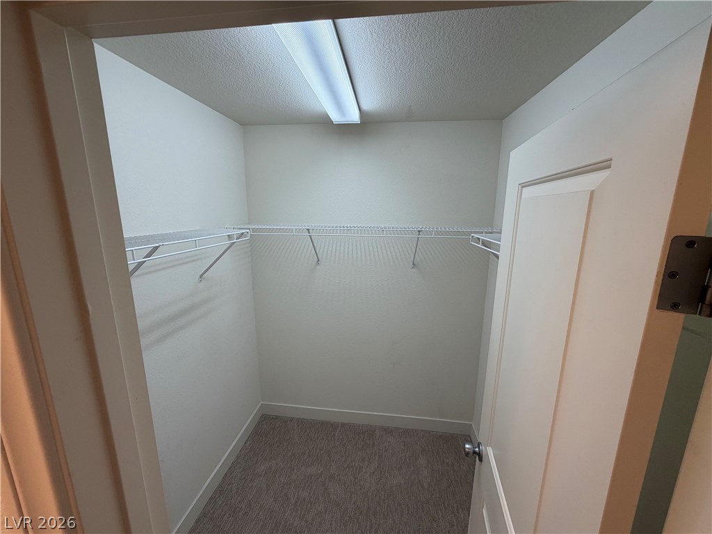 7879 Shoreline Ridge Court Property Photo 16