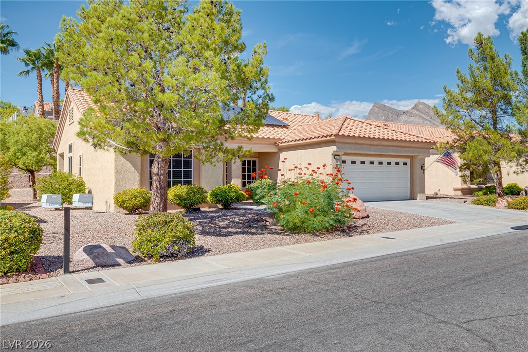 2025 Red Dawn Sky Street Property Photo 22