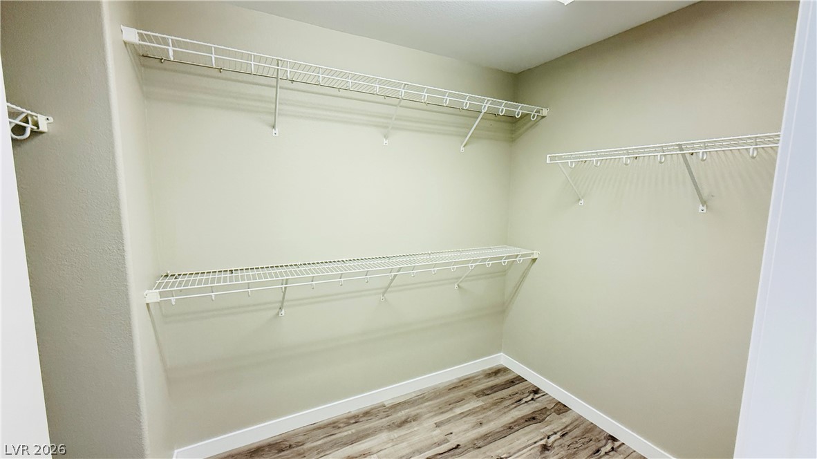 10202 Purple Primrose Drive Property Photo 14