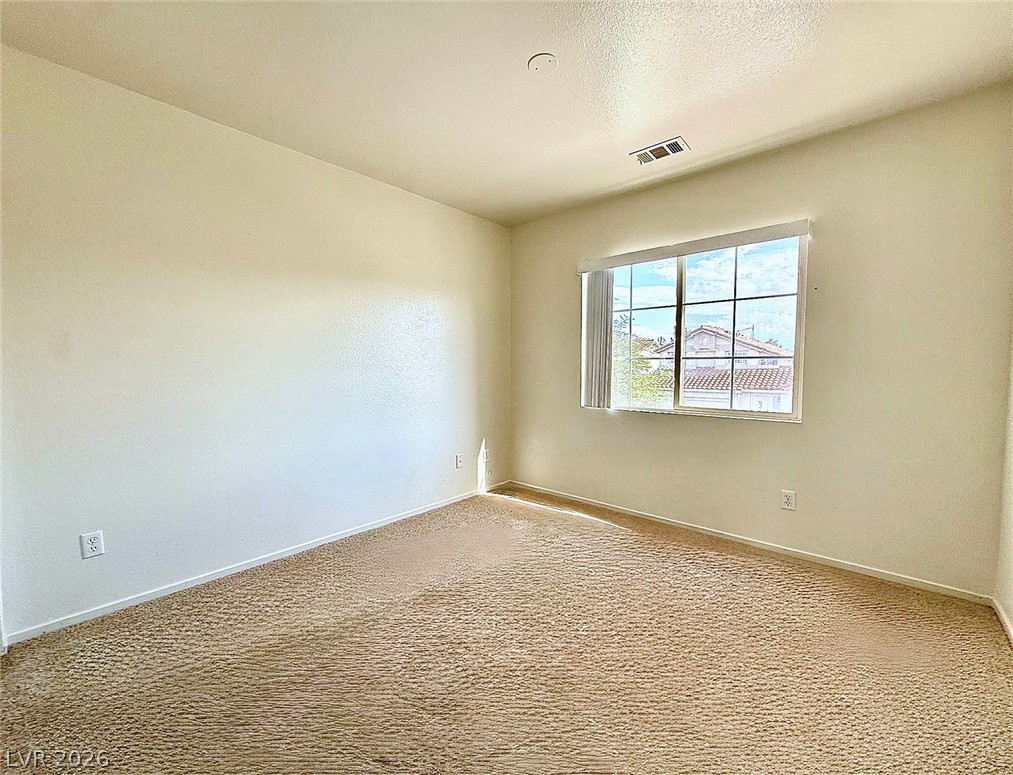 8700 Raindrop Canyon Avenue Property Photo 14