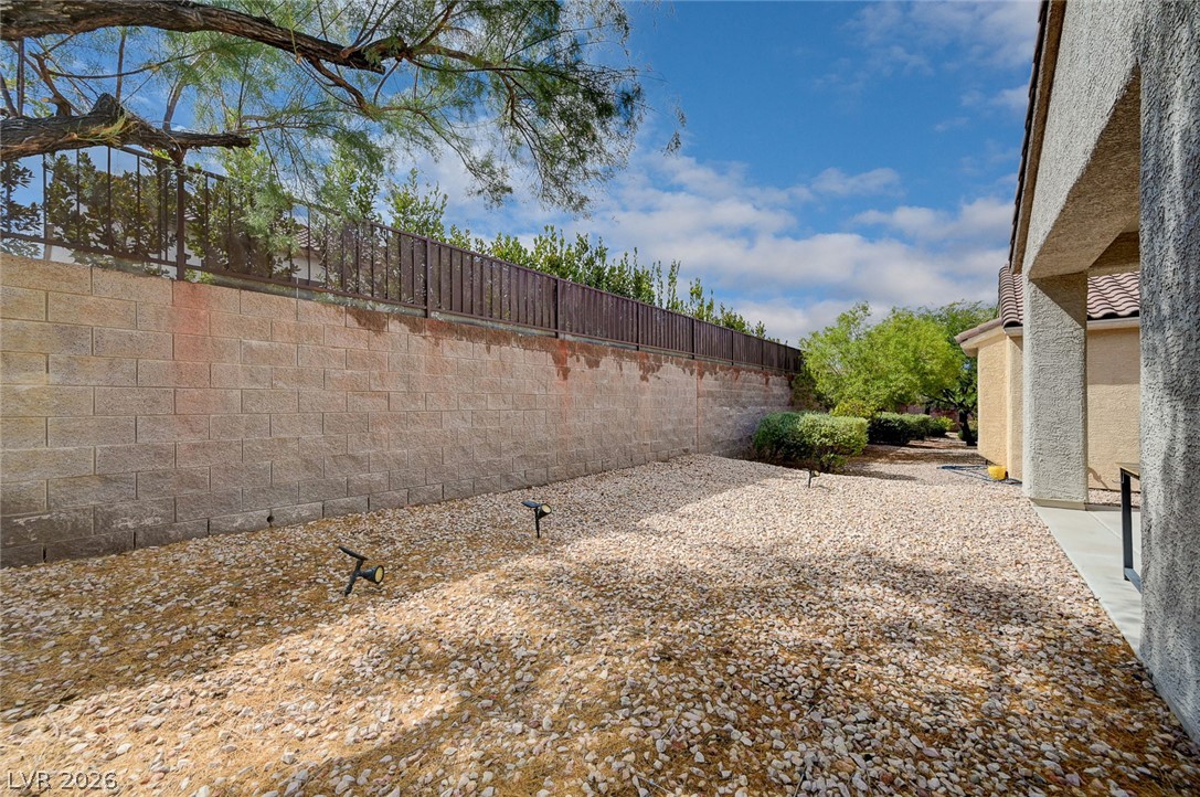 2851 Sapphire Desert Drive Property Photo 41