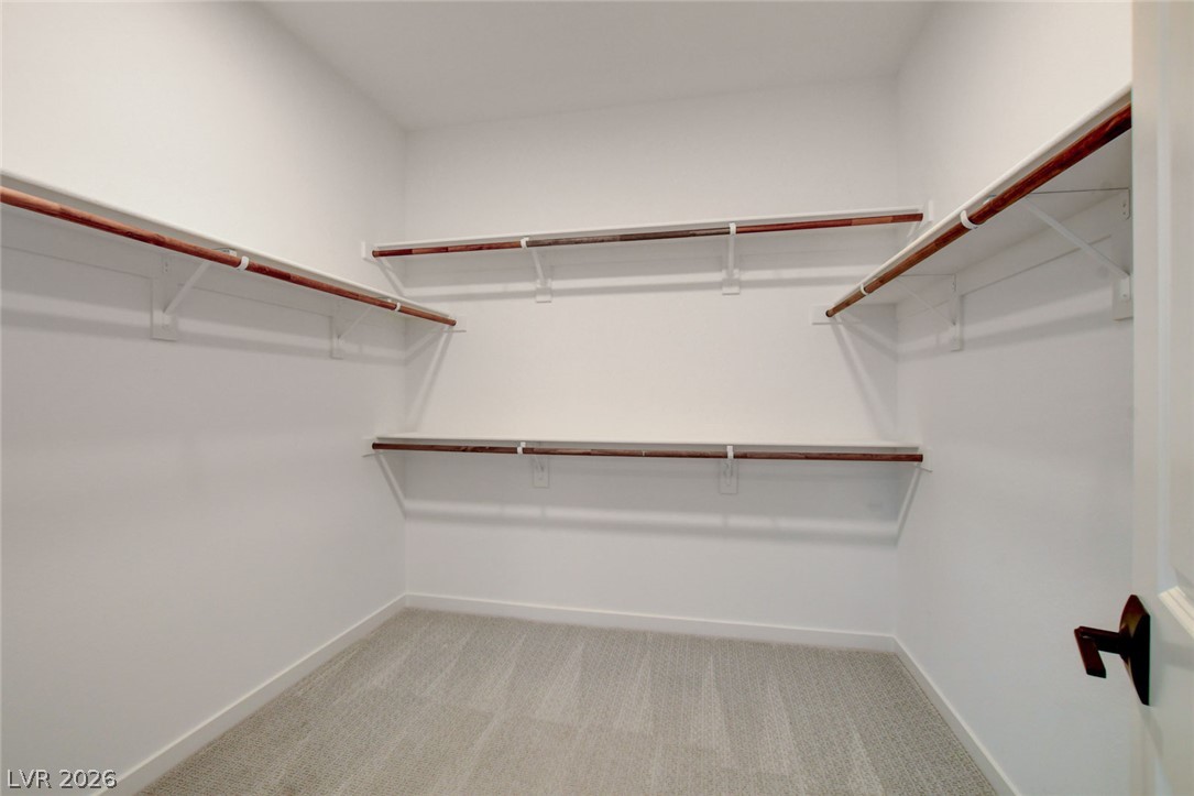 10151 Evergreen Pine Street Property Photo 29