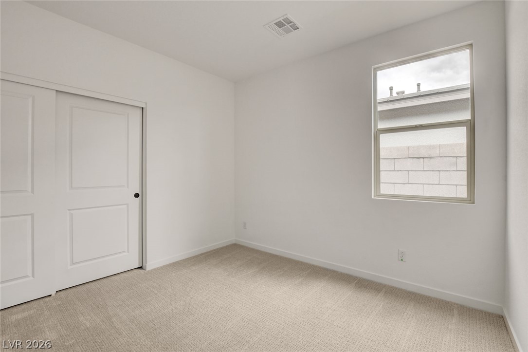 10151 Evergreen Pine Street Property Photo 33