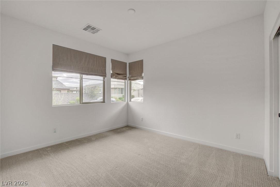10151 Evergreen Pine Street Property Photo 39
