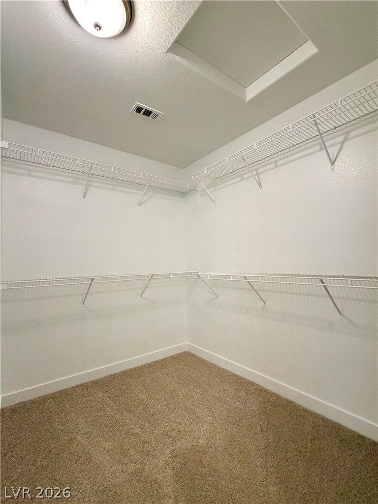 10226 Rocky Tree Street Property Photo 22