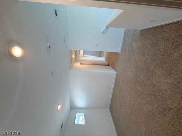 924 Alethea River Avenue Property Photo 11
