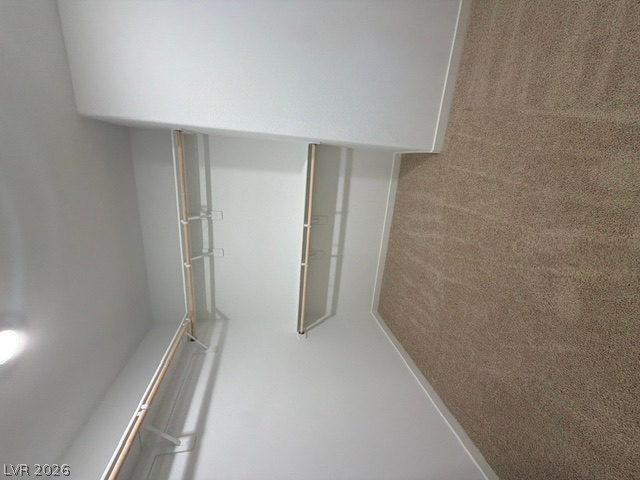 924 Alethea River Avenue Property Photo 20