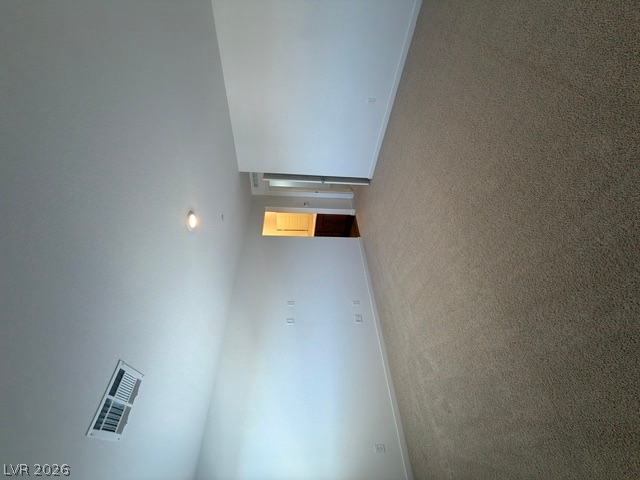 924 Alethea River Avenue Property Photo 23