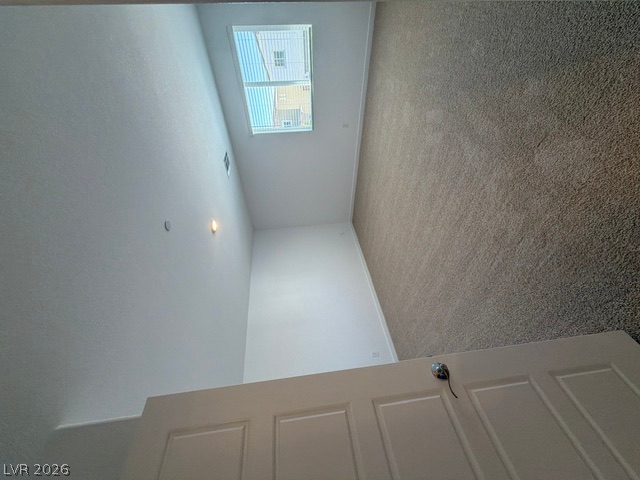 924 Alethea River Avenue Property Photo 24