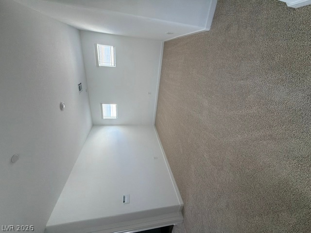 924 Alethea River Avenue Property Photo 26