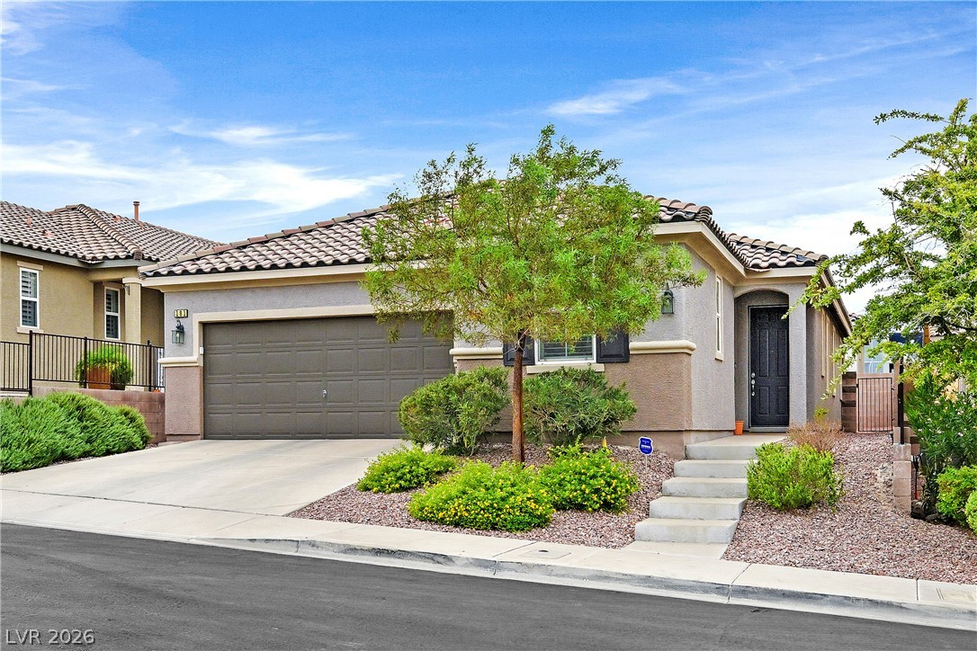 181 Tuscan Shadow Street Property Photo 1