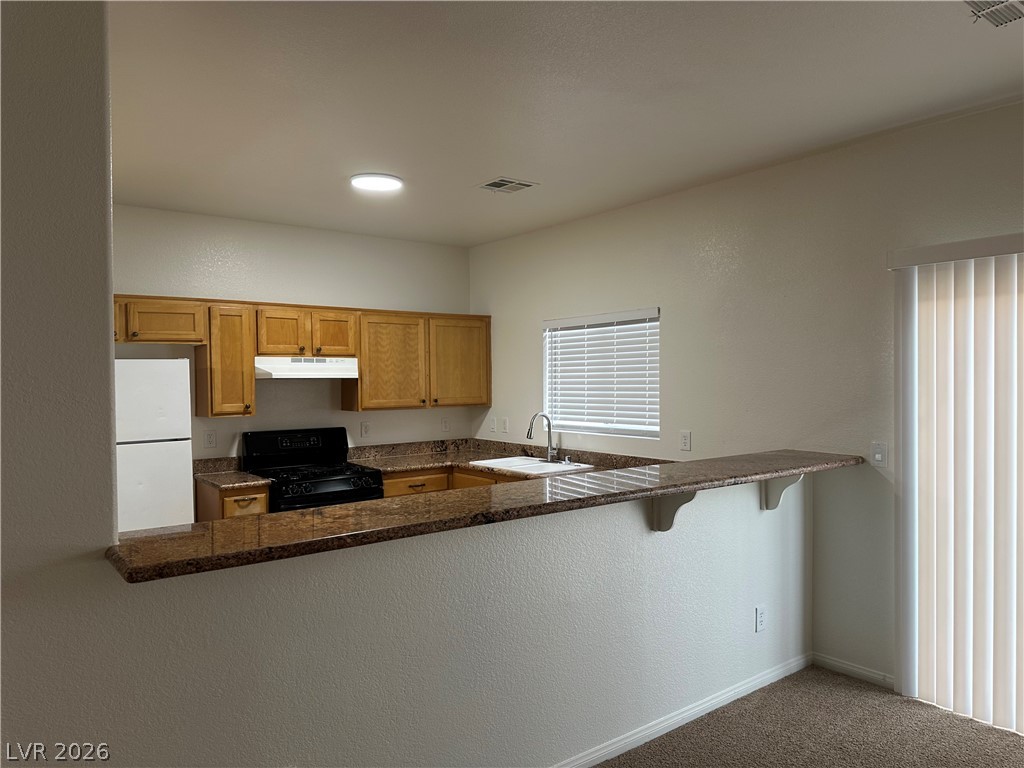 1613 White Skies Court Property Photo 4