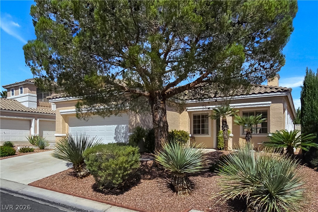10104 Pinnacle View Place Property Photo 3