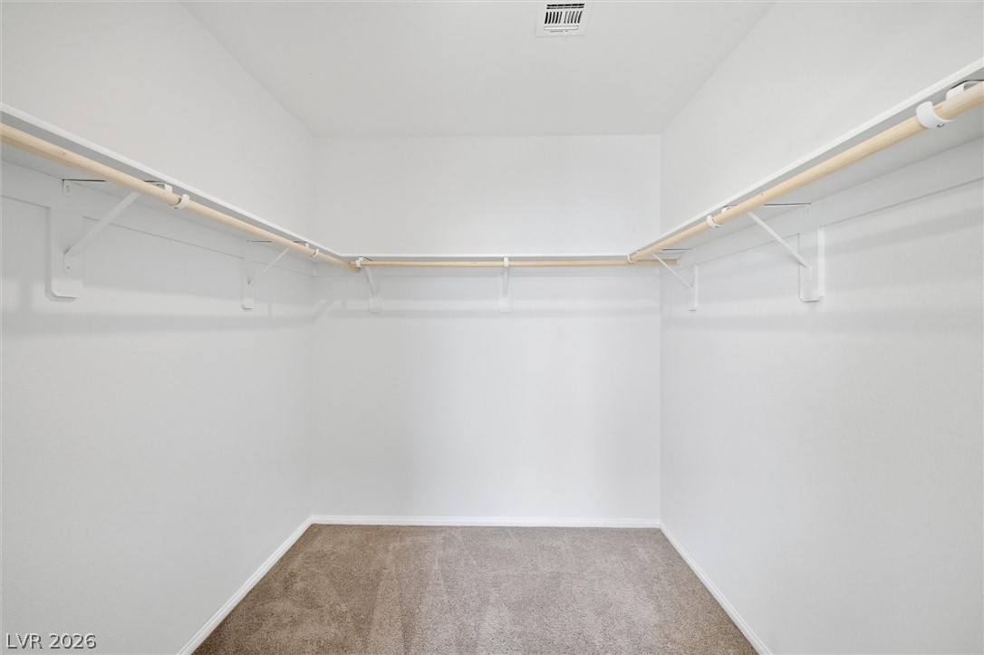 6047 Castle Gardens Avenue Property Photo 25