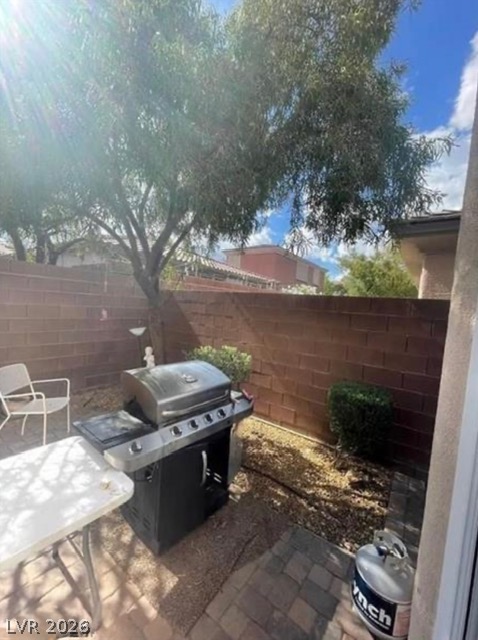 9863 Dublin Valley Street Property Photo 20