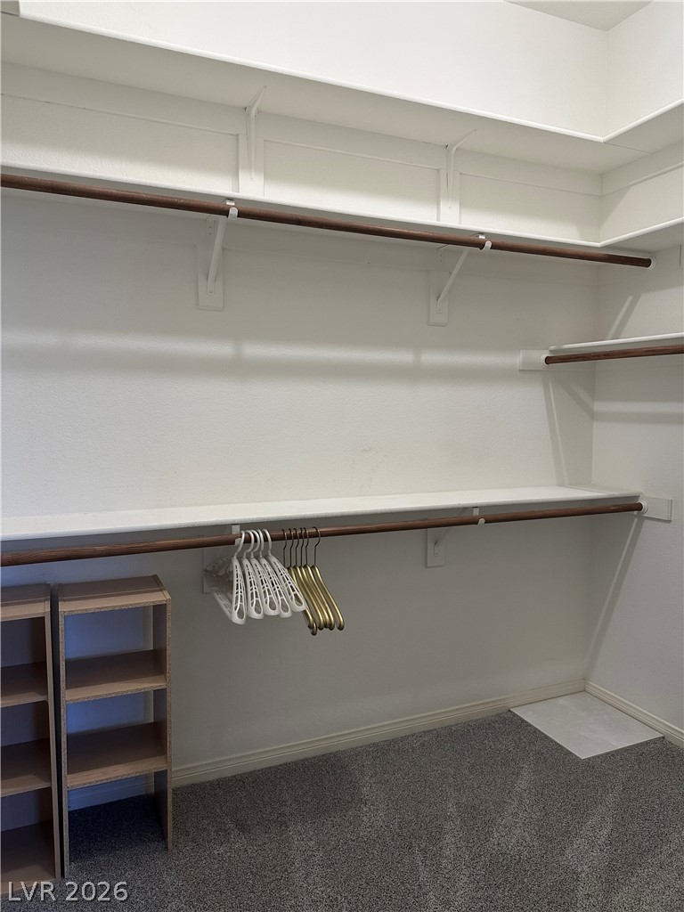 9201 Forest Manor Court Property Photo 17