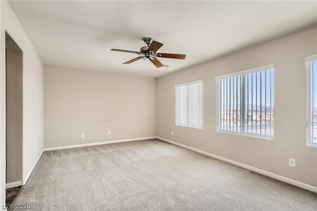 6676 Colorado Spruce Street Property Photo 11