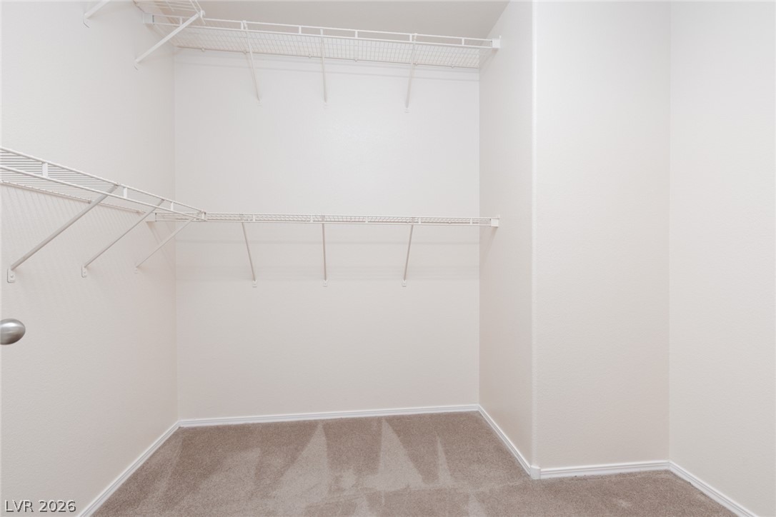 7880 Millbrookshire Way Property Photo 16