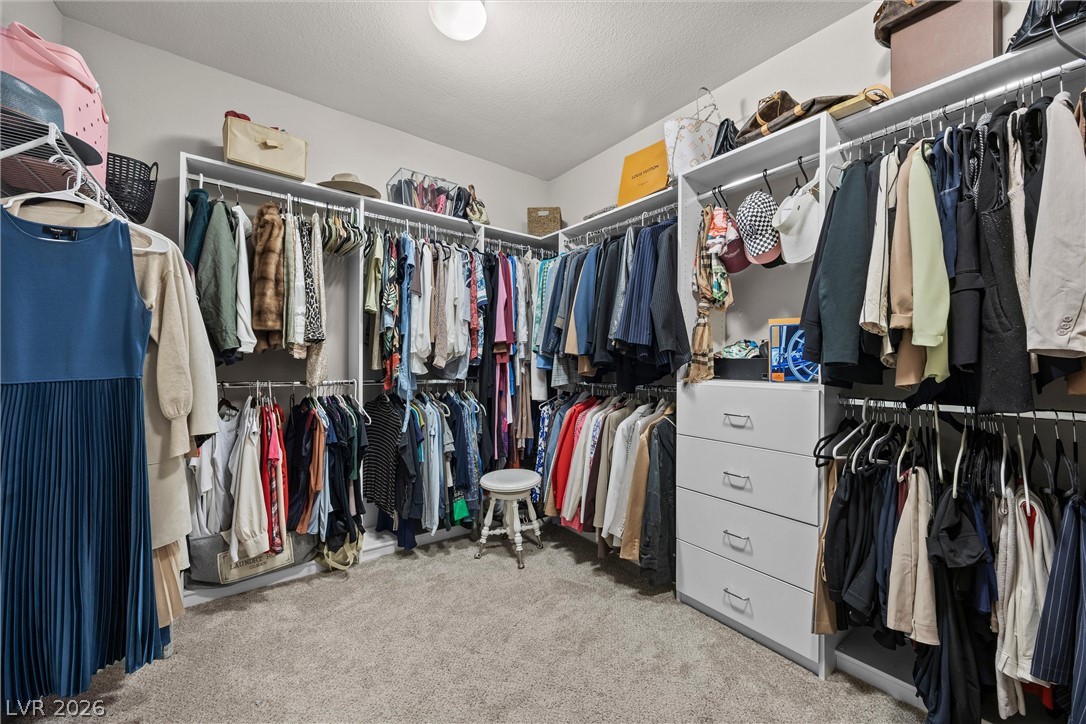 10195 Sunny Peak Court Property Photo 24