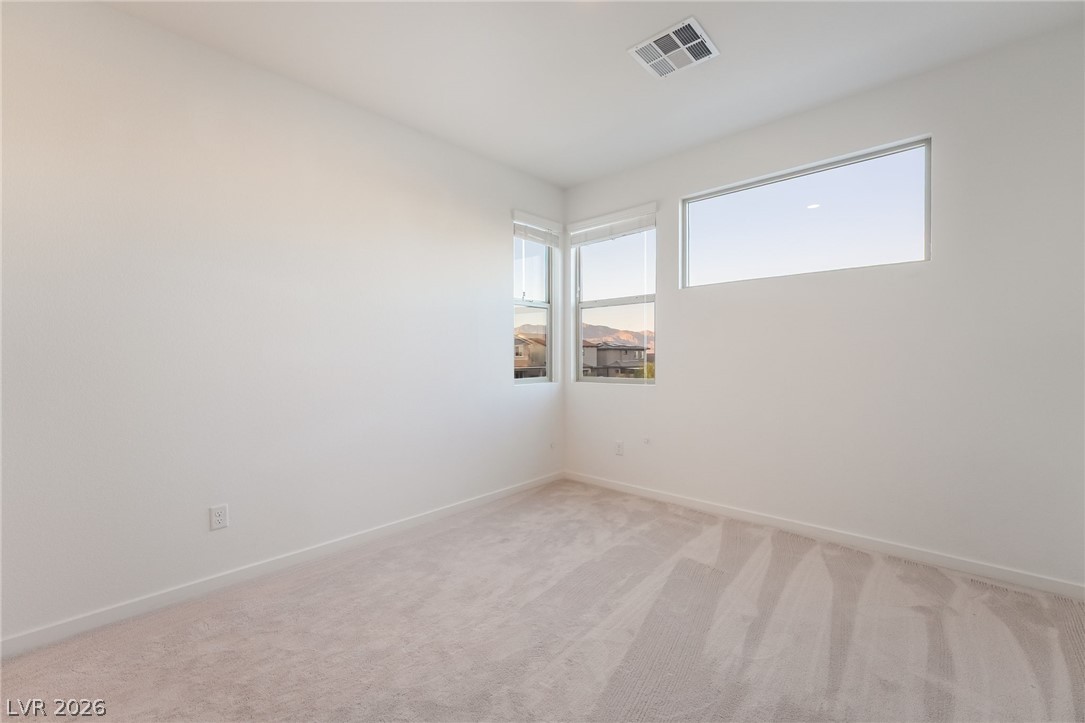 8311 Skye Highlands Street Property Photo 45